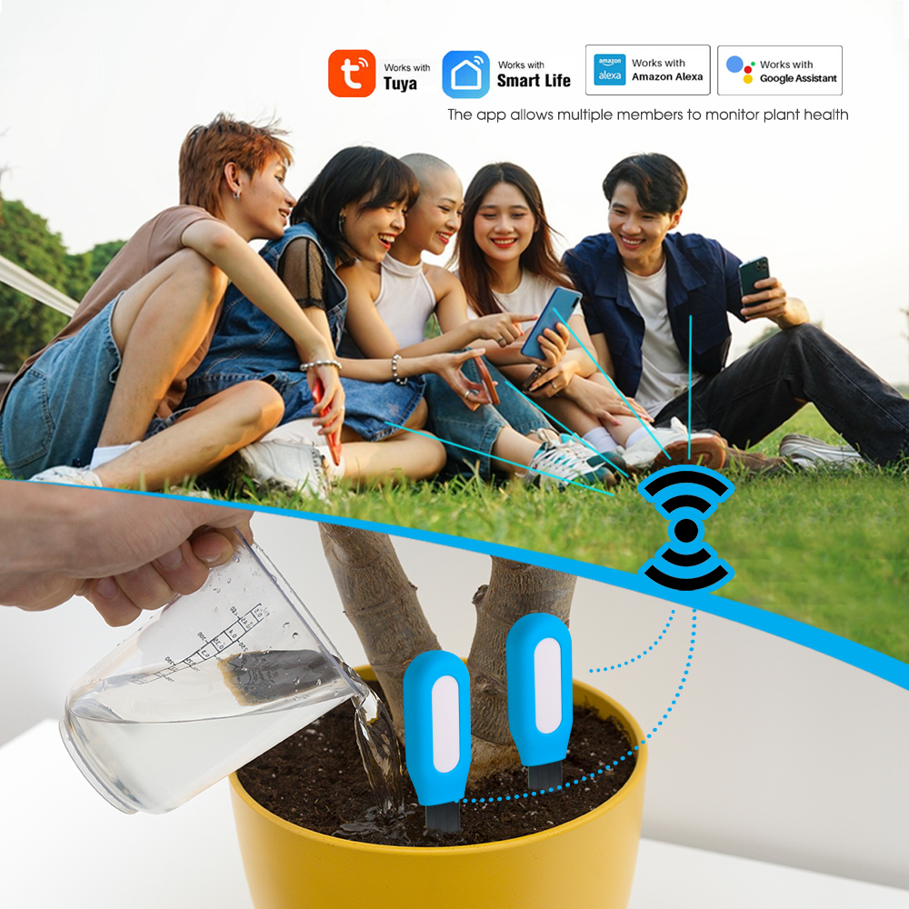 1PCS Tuya Zigbee Soil Sensor H - огляд і ціна Smart Garden Is