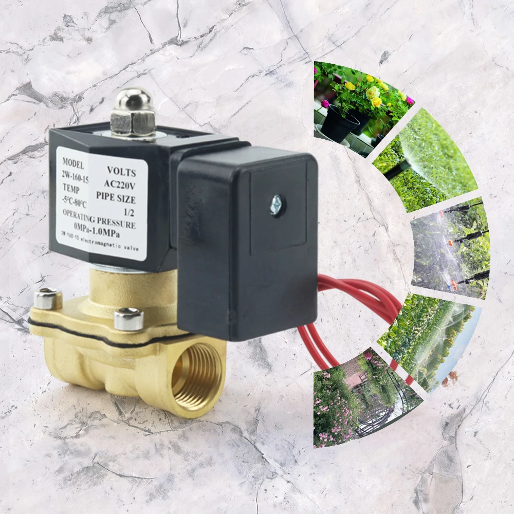 DN15 DN20 DN25 Tuya Smart WiFi - огляд і ціна Smart Garden Instructions