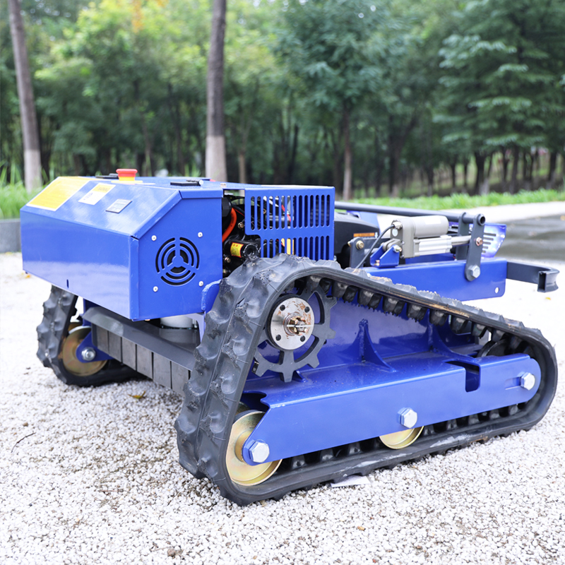 Customized Remote Control Elec - огляд і ціна Smart Garden Weed