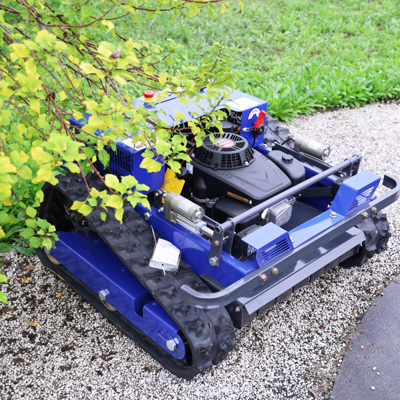 Customized Remote Control Elec - огляд і ціна Smart Garden Weed