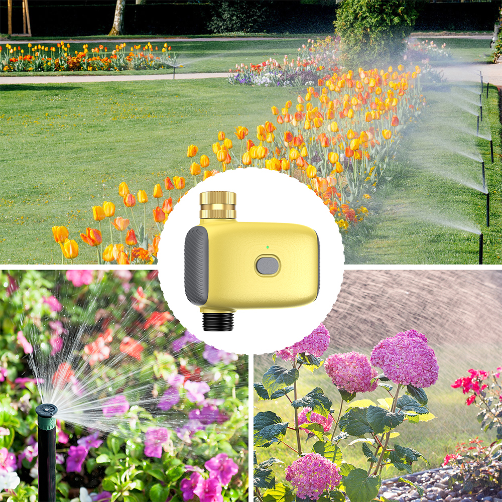 Wholesale Smart Digital  Water - огляд і ціна Smart Garden Is